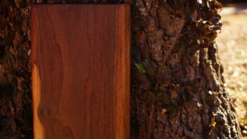 black walnut_sold - Image 3