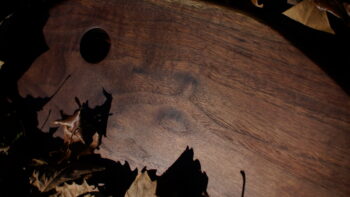 black walnut_sold - Image 4