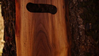 black walnut_sold - Image 2